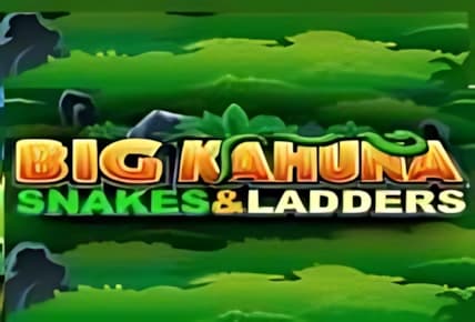 Big Kahuna Snakes and Ladders img