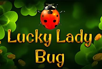 Lucky Lady Bug img