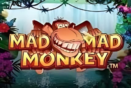 Mad Mad Monkey img