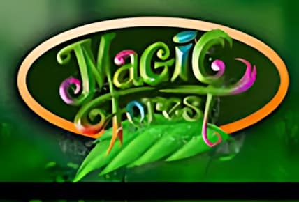 Magic Forest (Caleta) img