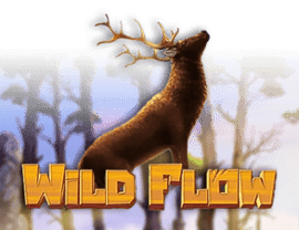 Wild Flow img