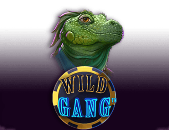 Wild Gang img