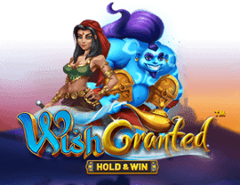 Wish Granted img