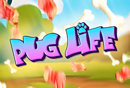 Pug Life img