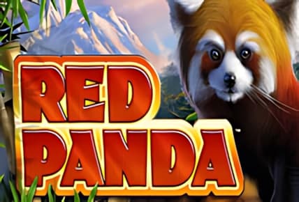 Red Panda img
