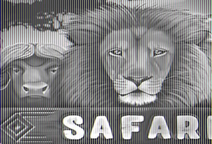 Safari img