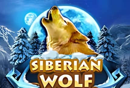 Siberian Wolf img