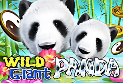 Wild Giant Panda img
