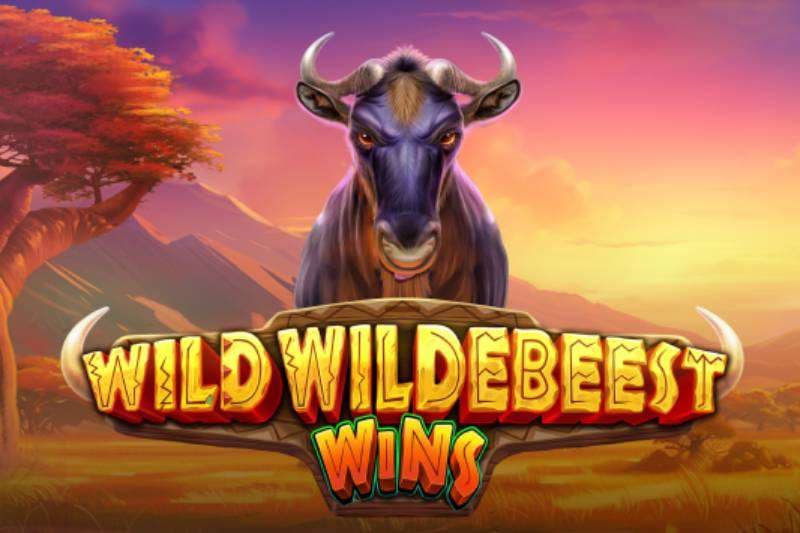 Wild Wildebeest Wins img