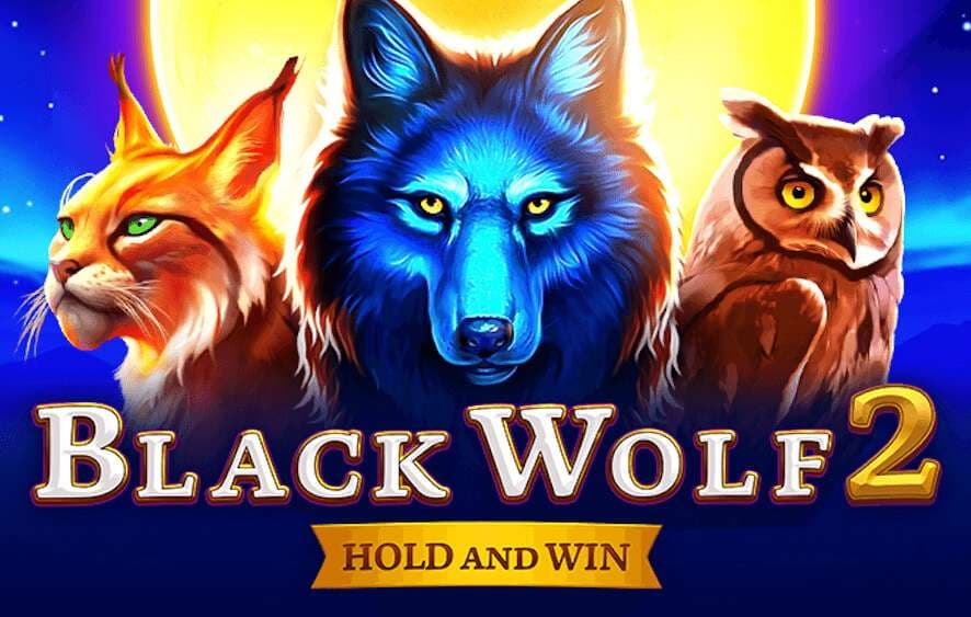 Black Wolf 2 img