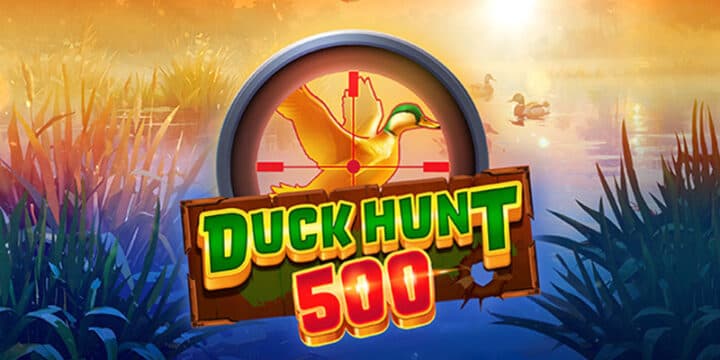 Duck Hunt 500 img