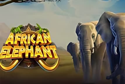 African Elephant img