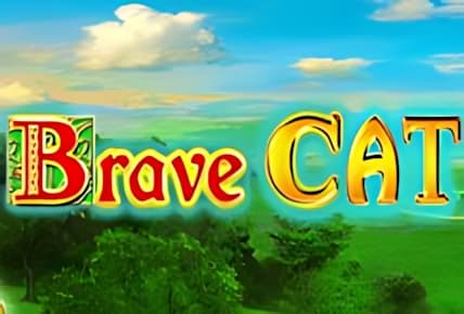 Brave Cat img
