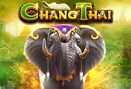 Chang Thai img