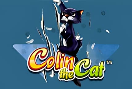Colin the Cat img