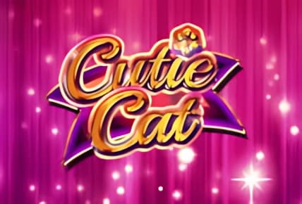 Cutie Cat img