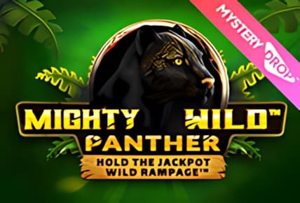 Mighty Wild: Panther img