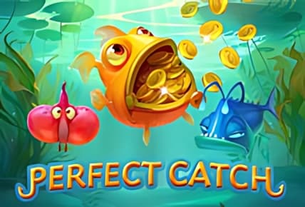 Perfect Catch img