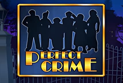 Perfect Crime img