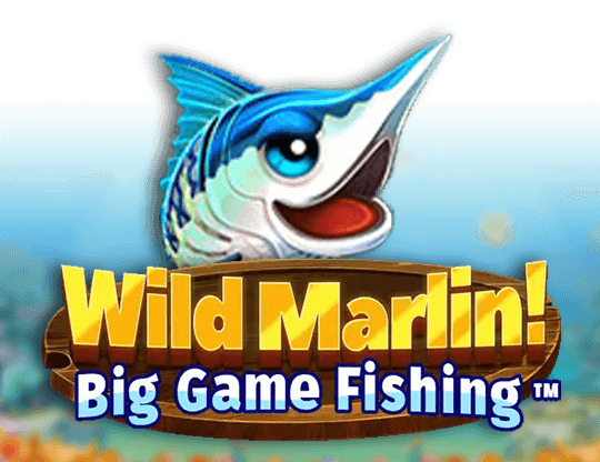 Wild Marlin Big Game Fishing img