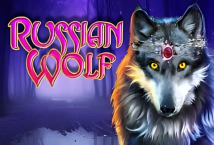Russian Wolf img