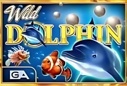 Wild Dolphin img