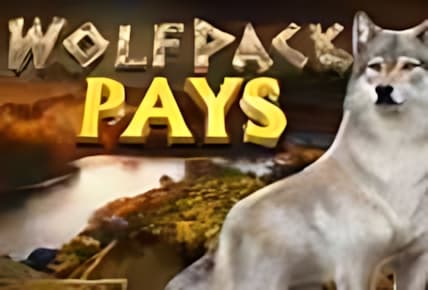 Wolfpack Pays img