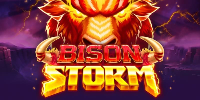 Bison Storm img