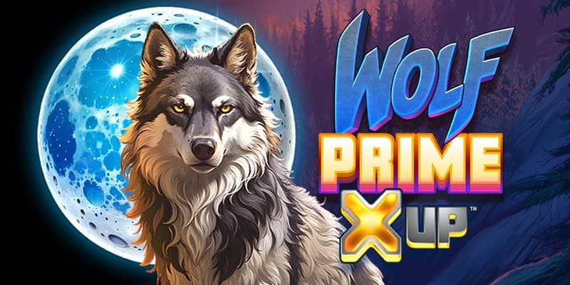 Wolf Prime X UP img